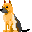 Dog 9